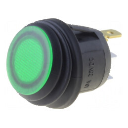 Rocker Switch SPST 2 ON-OFF 10A/28VDC Verde IP65 cu LED R13-112-DC | Electronic-mag.ro | Componente Electronice