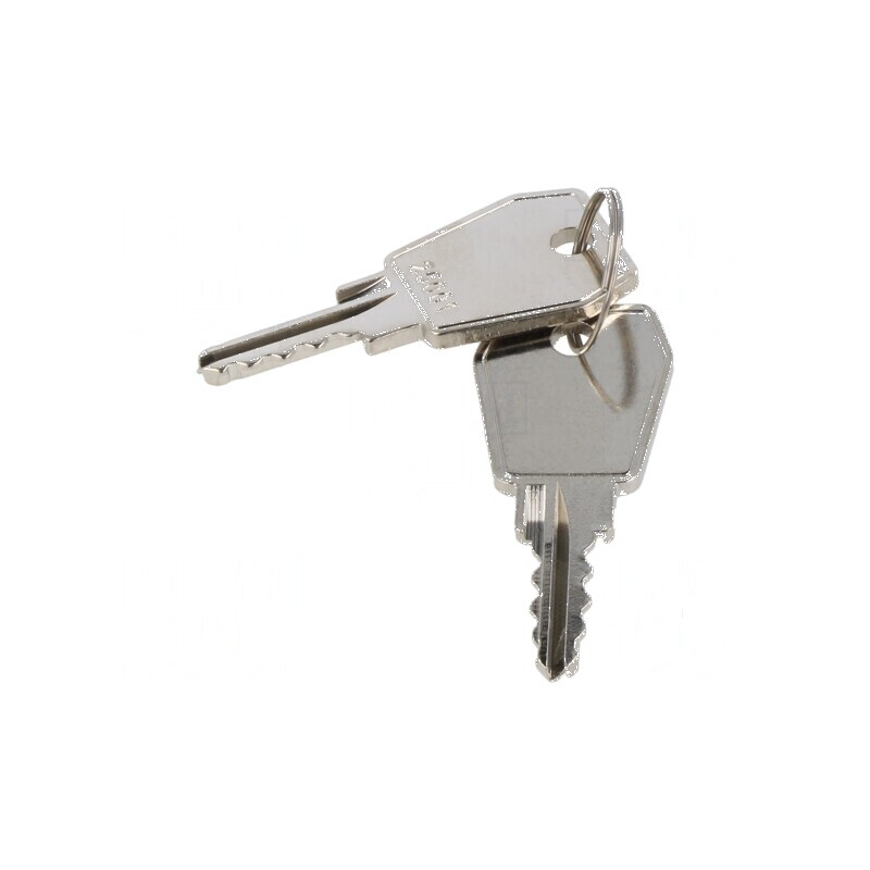 Cheie 2buc. | Electronic-mag.ro | Componente Electronice Cheie 2buc. | Electronic-mag.ro | Componente Electronice