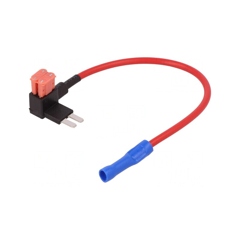 Splitter auto micro 10A cu 2 siguranţe micro 1mm² - Culoare roşu | Electronic-mag.ro | Componente Electronice Splitter auto micro 10A cu 2 siguranţe micro 1mm² - Culoare roşu | Electronic-mag.ro | Componente Electronice