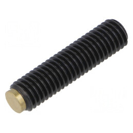 Şurub de presiune M8 Alamă 32mm Pas 1,25 | Electronic-mag.ro | Componente Electronice
