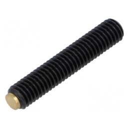Şurub de presiune M6 Pas 1 Alamă 32mm - Elem.montaj | Electronic-mag.ro | Componente Electronice