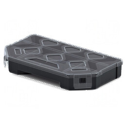 Container colectiv cu partiții negru 243x142x40mm TAGER | Electronic-mag.ro | Componente Electronice