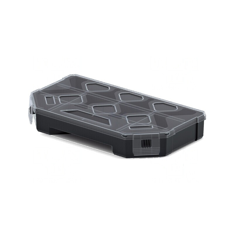 Container colectiv cu partiții negru 243x142x40mm TAGER | Electronic-mag.ro | Componente Electronice
