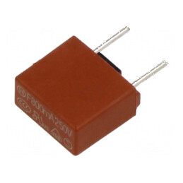 Siguranţă 800mA 250VAC THT cu suporturi TR5 5,08mm | Electronic-mag.ro | Componente Electronice