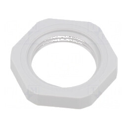 Piuliță NPT 3/4 poliamidă gri deschis cu flanșă -20° până la 100°C | Electronic-mag.ro | Componente Electronice