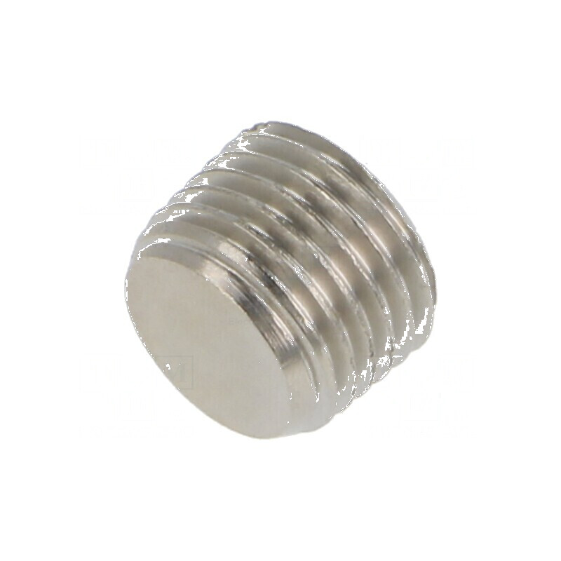 Dop filetat R 1/4 exterior alamă nichelată 10mm | Electronic-mag.ro | Componente Electronice Dop filetat R 1/4 exterior alamă nichelată 10mm | Electronic-mag.ro | Componente Electronice