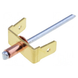 Terminal plat 6,3mm 0,8mm 2 x tată cu nit din cupru | Electronic-mag.ro | Componente Electronice