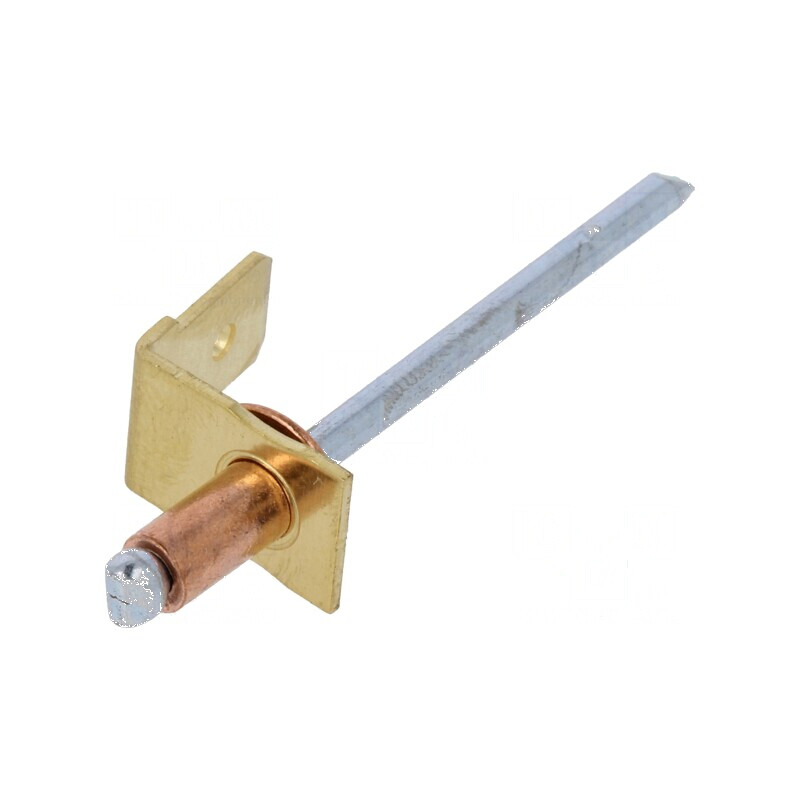 Terminal plat 6,3mm 0,8mm tată cu nit din cupru | Electronic-mag.ro | Componente Electronice Terminal plat 6,3mm 0,8mm tată cu nit din cupru | Electronic-mag.ro | Componente Electronice