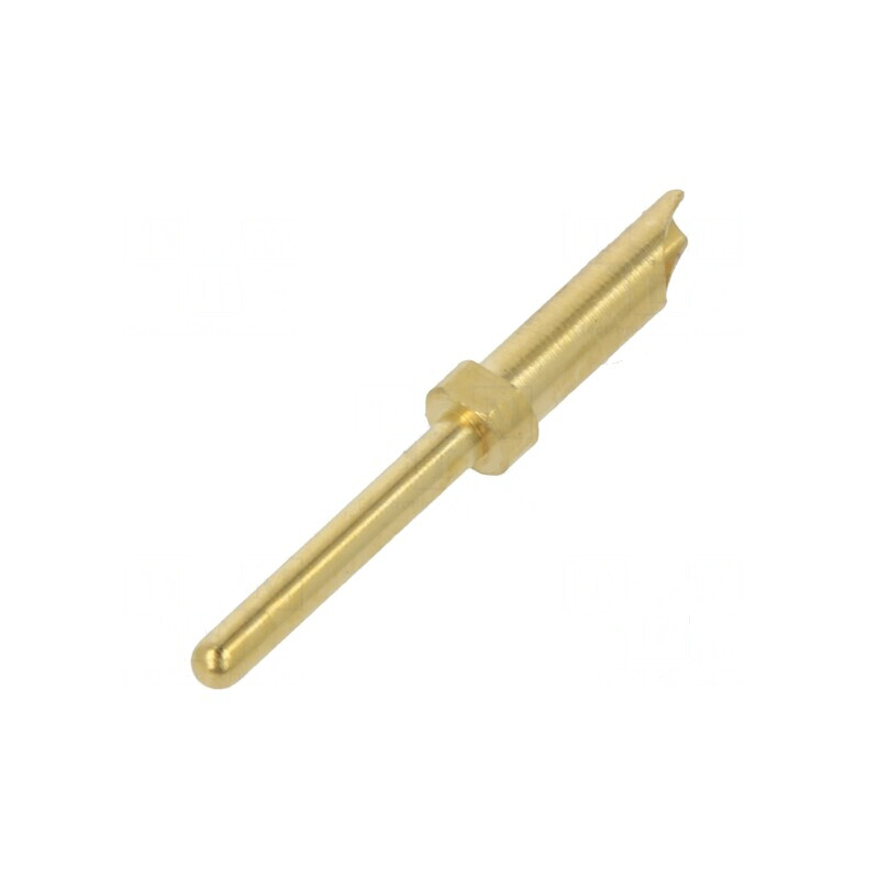 Pin tată aurit Mini Buccaneer 5A 380V 0,2-0,5mm2 | Electronic-mag.ro | Componente Electronice Pin tată aurit Mini Buccaneer 5A 380V 0,2-0,5mm2 | Electronic-mag.ro | Componente Electronice
