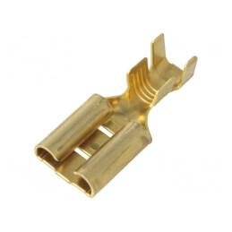 Terminal plat 9,5mm mamă 4÷6mm² crimpat pe cablu drept | Electronic-mag.ro | Componente Electronice
