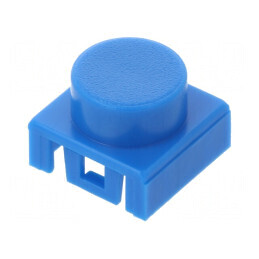 Tastă Albastră pentru Computer | Electronic-mag.ro | Componente Electronice