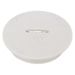 Capac de protecție PG29 IP54 din poliamidă gri - V-N-FS, filet PG | Electronic-mag.ro | Componente Electronice