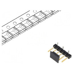 Conector BERGSTIK cu 6 pini verticali - Şiruri Pini Tată pentru Conexiuni Electrice | Electronic-mag.ro | Componente Electronice