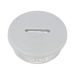 Capac de protecţie M32 1,5 IP54 din poliamidă gri V-N-FS cu dimensiunea de 11mm | Electronic-mag.ro | Componente Electronice