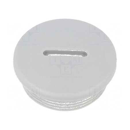 Capac de protecţie M32 1,5 IP54 din poliamidă gri V-N-FS cu dimensiunea de 11mm | Electronic-mag.ro | Componente Electronice