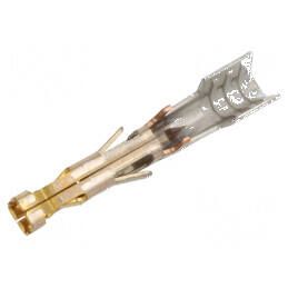Pin mamă aurit 16AWG-14AWG Mega-Fit, tăiat din rolă, crimpat - Conector electric profesional | Electronic-mag.ro | Componente Electronice