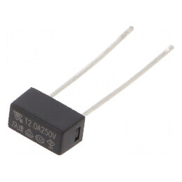 Siguranţă întârziere 2A 250VAC TE5 883.200G - Componentă electrică de protecție | Electronic-mag.ro | Componente Electronice