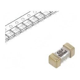 Siguranţă Ardere Rapidă SMD 500mA 125VAC 125VDC - Componente Electronice Profesionale | Electronic-mag.ro | Componente Electronice