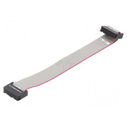 Cablu Panglică IDC 1,27mm, Lungime 0,15m cu Conectori - Cablu Bandă de Înaltă Calitate | Electronic-mag.ro | Componente Electronice