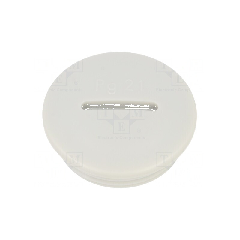 Capac de protecție PG21 IP56 din poliamidă gri deschis cu filet PG | Electronic-mag.ro | Componente Electronice Capac de protecție PG21 IP56 din poliamidă gri deschis cu filet PG | Electronic-mag.ro | Componente Electronice
