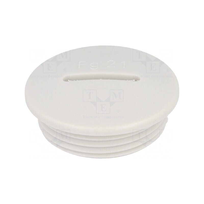 Capac de protecție PG21 IP54 din poliamidă gri pentru filet PG V-N-FS | Electronic-mag.ro | Componente Electronice Capac de protecție PG21 IP54 din poliamidă gri pentru filet PG V-N-FS | Electronic-mag.ro | Componente Electronice