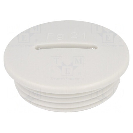 Capac de protecție PG21 IP54 din poliamidă gri pentru filet PG V-N-FS | Electronic-mag.ro | Componente Electronice