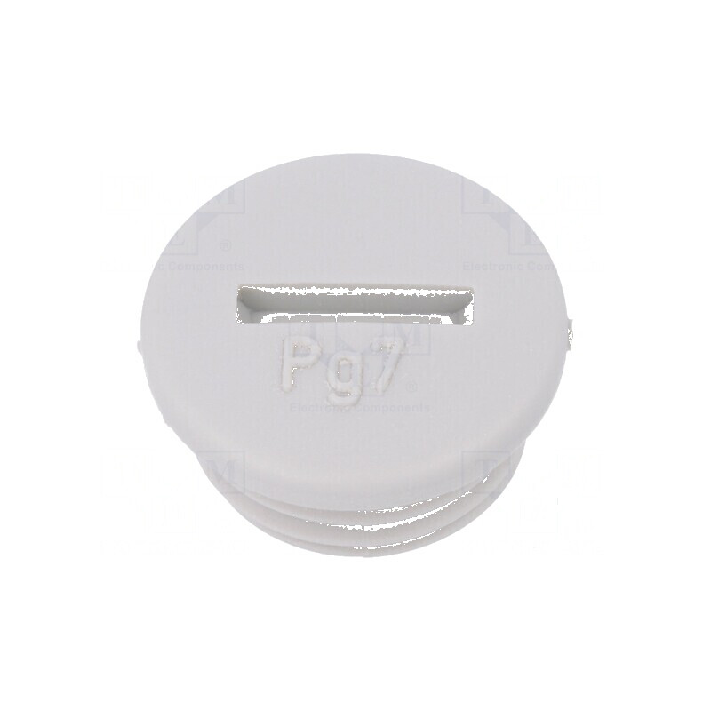 Capac de protecţie PG7 IP54 din poliamidă gri deschis, 6mm | Electronic-mag.ro | Componente Electronice Capac de protecţie PG7 IP54 din poliamidă gri deschis, 6mm | Electronic-mag.ro | Componente Electronice