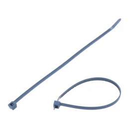 Colier de strângere metalic cu lungimea de 200mm și lățimea de 4,6mm PPMP | Electronic-mag.ro | Componente Electronice