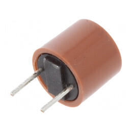 Siguranţă întârziere 2,5A 250VAC THT TR5 cupru pentru protecție electrică | Electronic-mag.ro | Componente Electronice