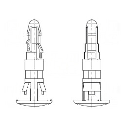 Ştift de montare poliamidă 66, Lungime 20mm, pentru clichet/clichet | Electronic-mag.ro | Componente Electronice