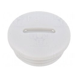 Capac protecţie PG11 IP56 poliamidă gri deschis | Electronic-mag.ro | Componente Electronice
