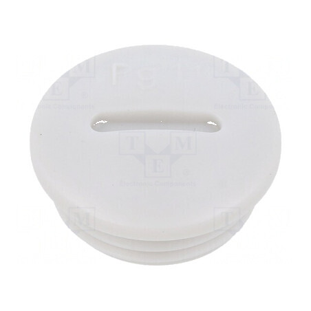 Capac protecţie PG11 IP56 poliamidă gri deschis | Electronic-mag.ro | Componente Electronice