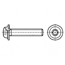 Şurub flanşat M5x12 0,8 Torx® TX25 | Electronic-mag.ro | Componente Electronice