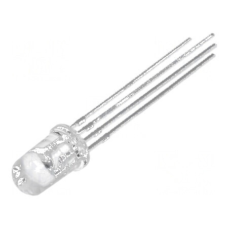 LED 5mm RGB Convex 25° Catod Comun 4 Termeni | Electronic-mag.ro | Componente Electronice