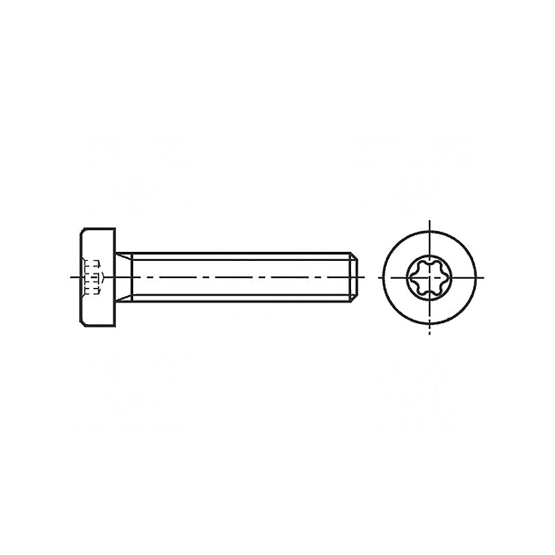 Şurub M6x30 Torx TX30 cap rotund inox A2 | Electronic-mag.ro | Componente Electronice Şurub M6x30 Torx TX30 cap rotund inox A2 | Electronic-mag.ro | Componente Electronice