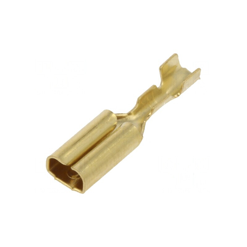 Terminal plat 2,8mm mamă 0,14-0,3mm2 crimpat pe cablu | Electronic-mag.ro | Componente Electronice Terminal plat 2,8mm mamă 0,14-0,3mm2 crimpat pe cablu | Electronic-mag.ro | Componente Electronice