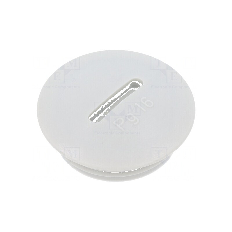 Capac de protecție PG16 IP56 poliamidă gri deschis cu filet PG | Electronic-mag.ro | Componente Electronice Capac de protecție PG16 IP56 poliamidă gri deschis cu filet PG | Electronic-mag.ro | Componente Electronice