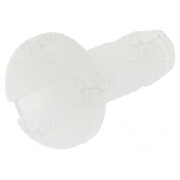 Şurub M2,5x8 cu cap rotund crestat din plastic natural | Electronic-mag.ro | Componente Electronice
