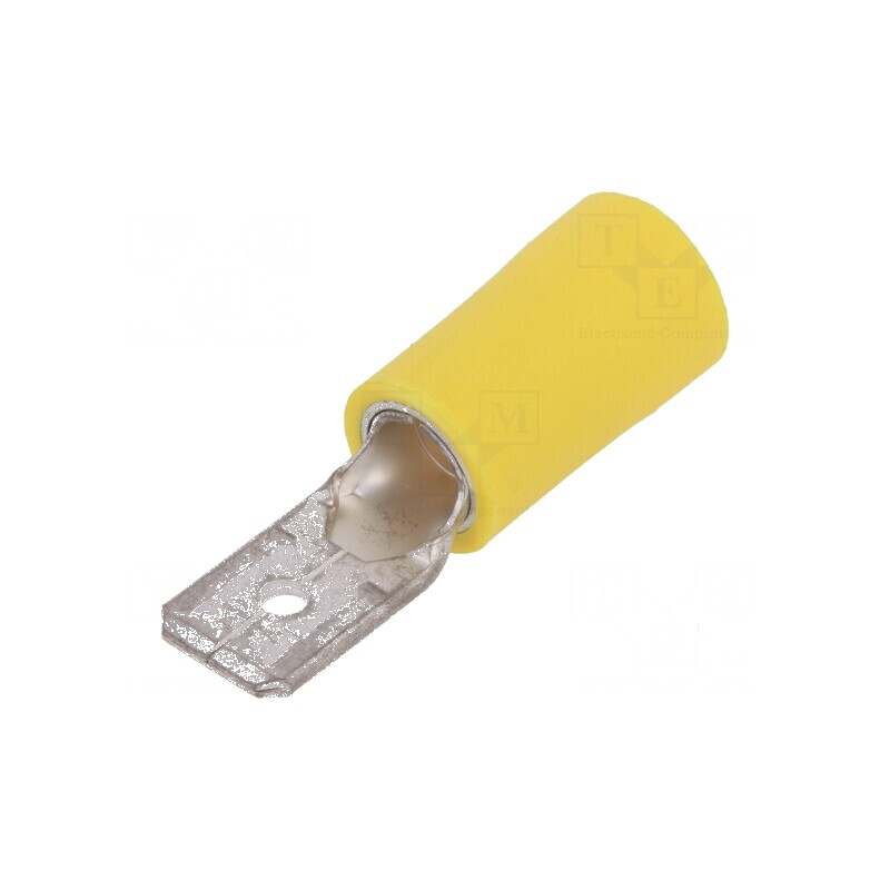 Terminal plat 6,3mm tată 2,5-6mm2 crimpat pe cablu | Electronic-mag.ro | Componente Electronice Terminal plat 6,3mm tată 2,5-6mm2 crimpat pe cablu | Electronic-mag.ro | Componente Electronice