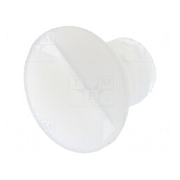 Şurub M5x7mm Cap îngropat crestat 1,4mm poliamidă naturală | Electronic-mag.ro | Componente Electronice