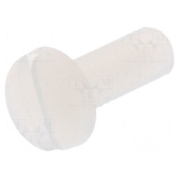 Şurub M3x8 Cap Rotund Crestat Poliamidă 0,5mm | Electronic-mag.ro | Componente Electronice
