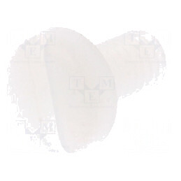 Şurub M4x8 cu cap rotund crestat din poliamidă | Electronic-mag.ro | Componente Electronice