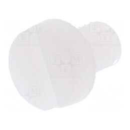 Şurub M4x6 Cap Rotund Crestat Poliamidă 1,3mm | Electronic-mag.ro | Componente Electronice
