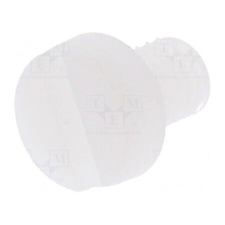 Şurub M4x6 Cap Rotund Crestat Poliamidă 1,3mm | Electronic-mag.ro | Componente Electronice