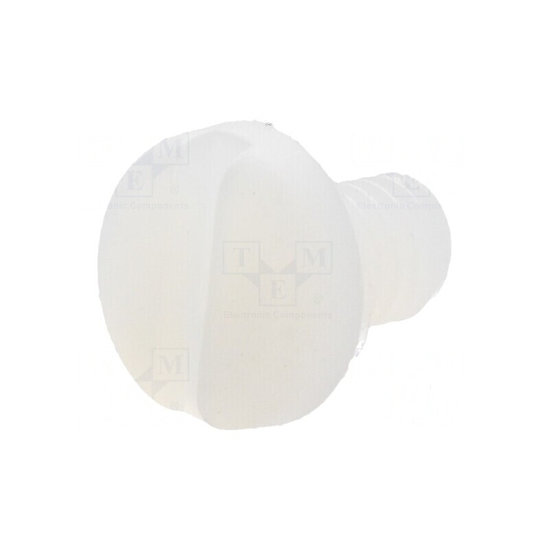 Şurub M4x6 cu cap rotund crestat din poliamidă 1,3mm | Electronic-mag.ro | Componente Electronice Şurub M4x6 cu cap rotund crestat din poliamidă 1,3mm | Electronic-mag.ro | Componente Electronice