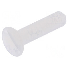 Şurub M3x12 Cap îngropat crestat 1mm poliamidă naturală | Electronic-mag.ro | Componente Electronice