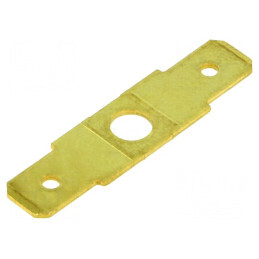 Terminal plat 6,3mm 0,8mm 2 x tată M4 neizolat dublă alamă | Electronic-mag.ro | Componente Electronice