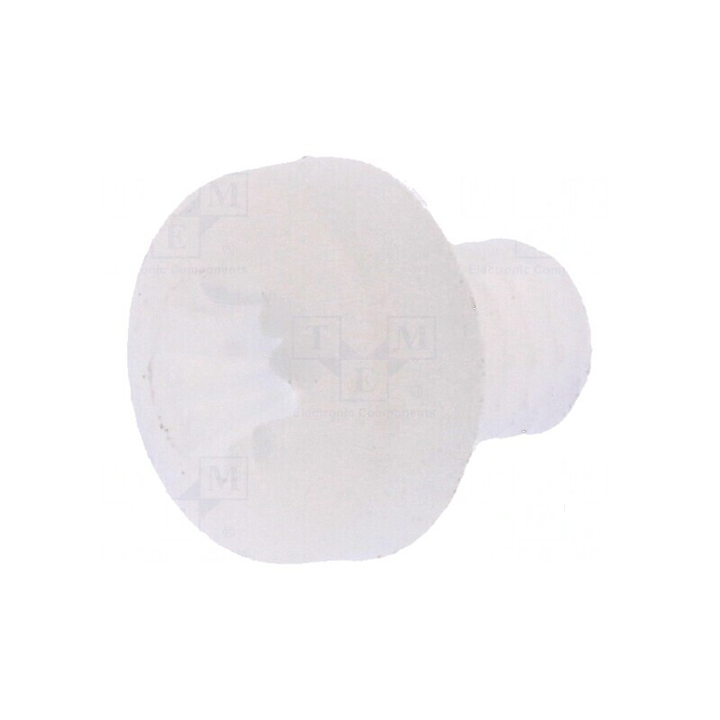 Şurub M3x4 Cap Rotund Pozidriv Poliamidă 0,8mm | Electronic-mag.ro | Componente Electronice Şurub M3x4 Cap Rotund Pozidriv Poliamidă 0,8mm | Electronic-mag.ro | Componente Electronice