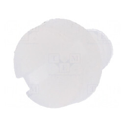 Şurub M3x4 Cap Rotund Creset 0,9mm Poliamidă | Electronic-mag.ro | Componente Electronice