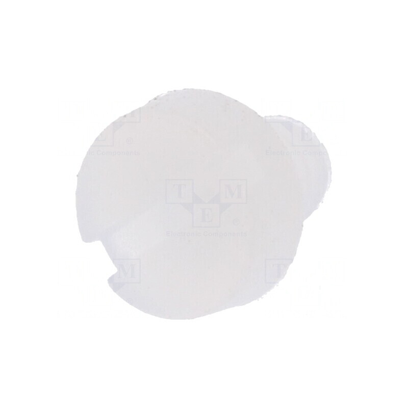 Şurub M3x4 Cap Rotund Creset 0,9mm Poliamidă | Electronic-mag.ro | Componente Electronice Şurub M3x4 Cap Rotund Creset 0,9mm Poliamidă | Electronic-mag.ro | Componente Electronice